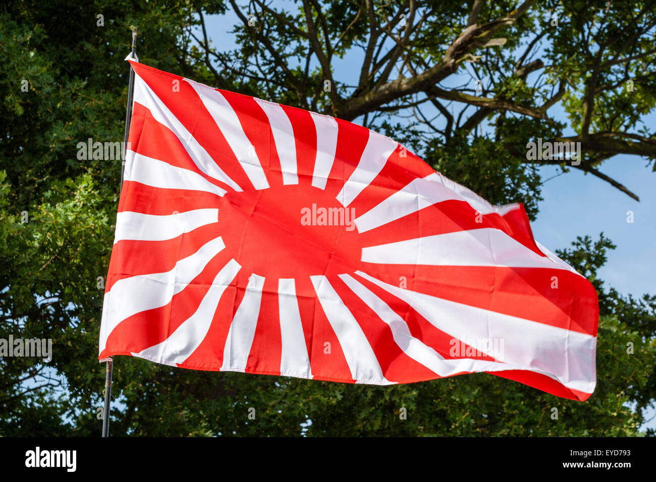 Japanische Rising Sun Flagge, Kyokujitsu-ki, Nisshōki oder Hinomaru, durch das Militär im Zweiten Weltkrieg, Zweige und Blätter von Bäumen im Hintergrund verwendet. Stockfoto