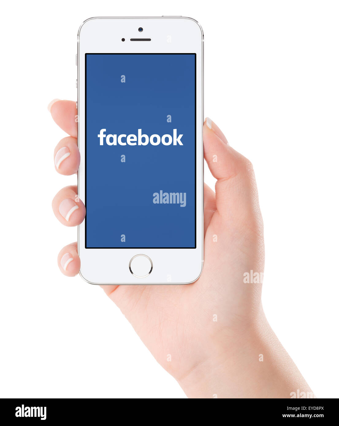 Varna, Bulgarien - 2. Februar 2015: Weibliche Hand mit silbernen Apple iPhone 5 s mit Facebook neues Logo auf dem Bildschirm. Stockfoto