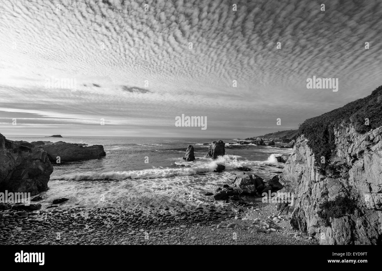 Garrapata Beach in schwarz / weiß Stockfoto