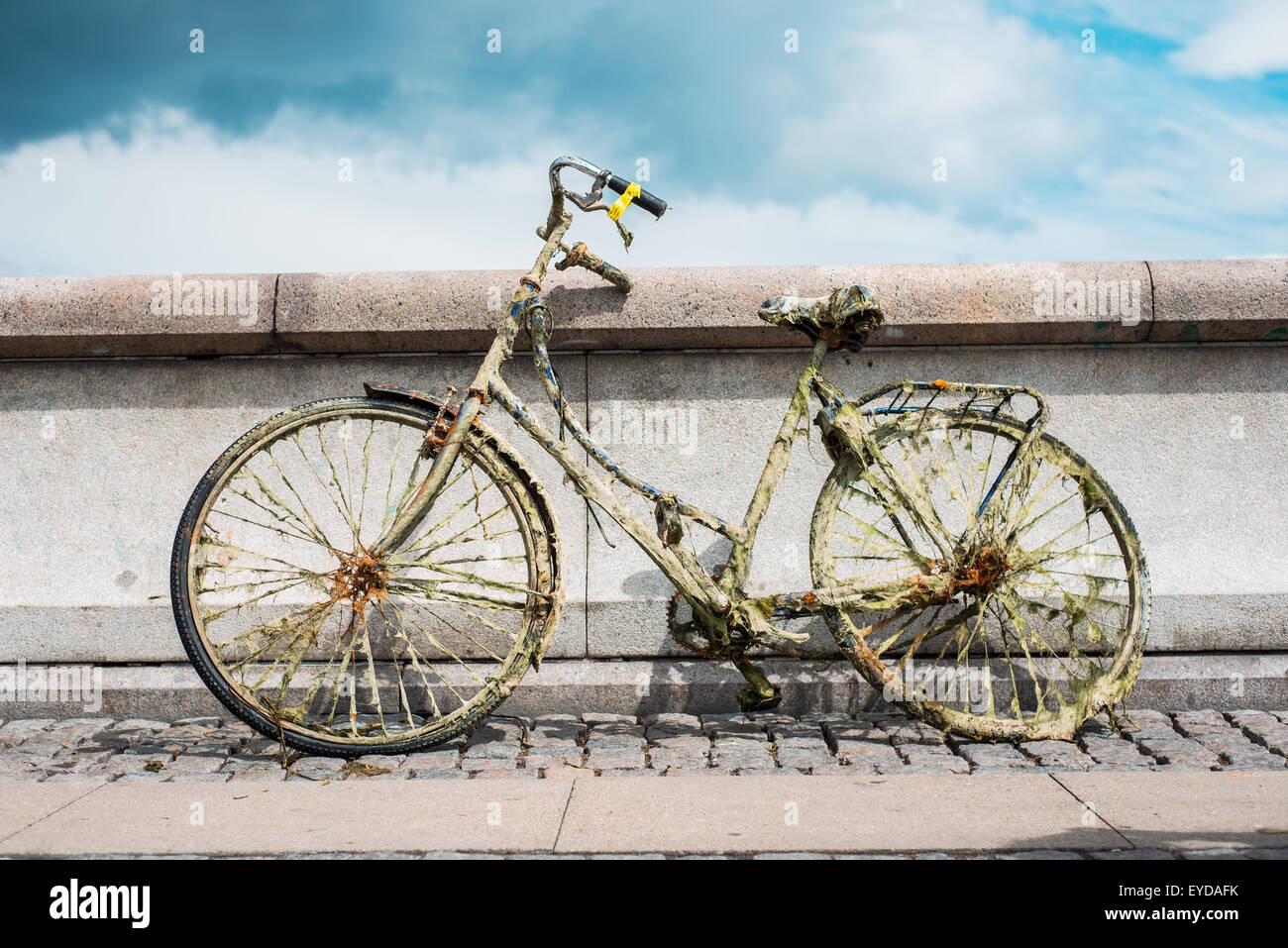 Ein altes rostiges Fahrrad gefunden in den Seen unter Dronning Louises bro. Stockfoto