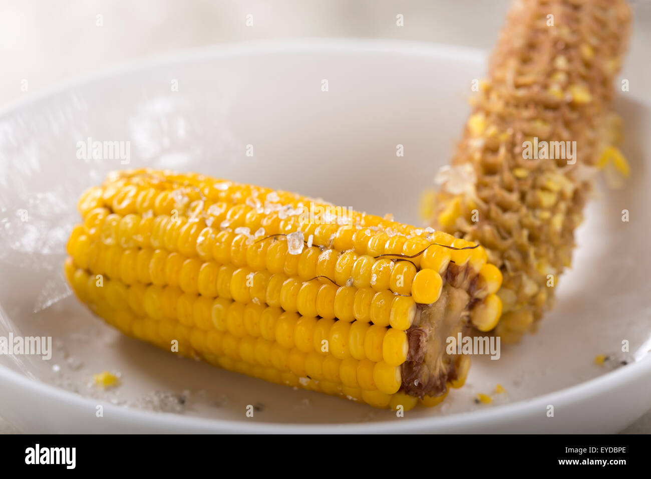 Frische heiße Mais mit Salz in einer Schüssel weiß Stockfoto