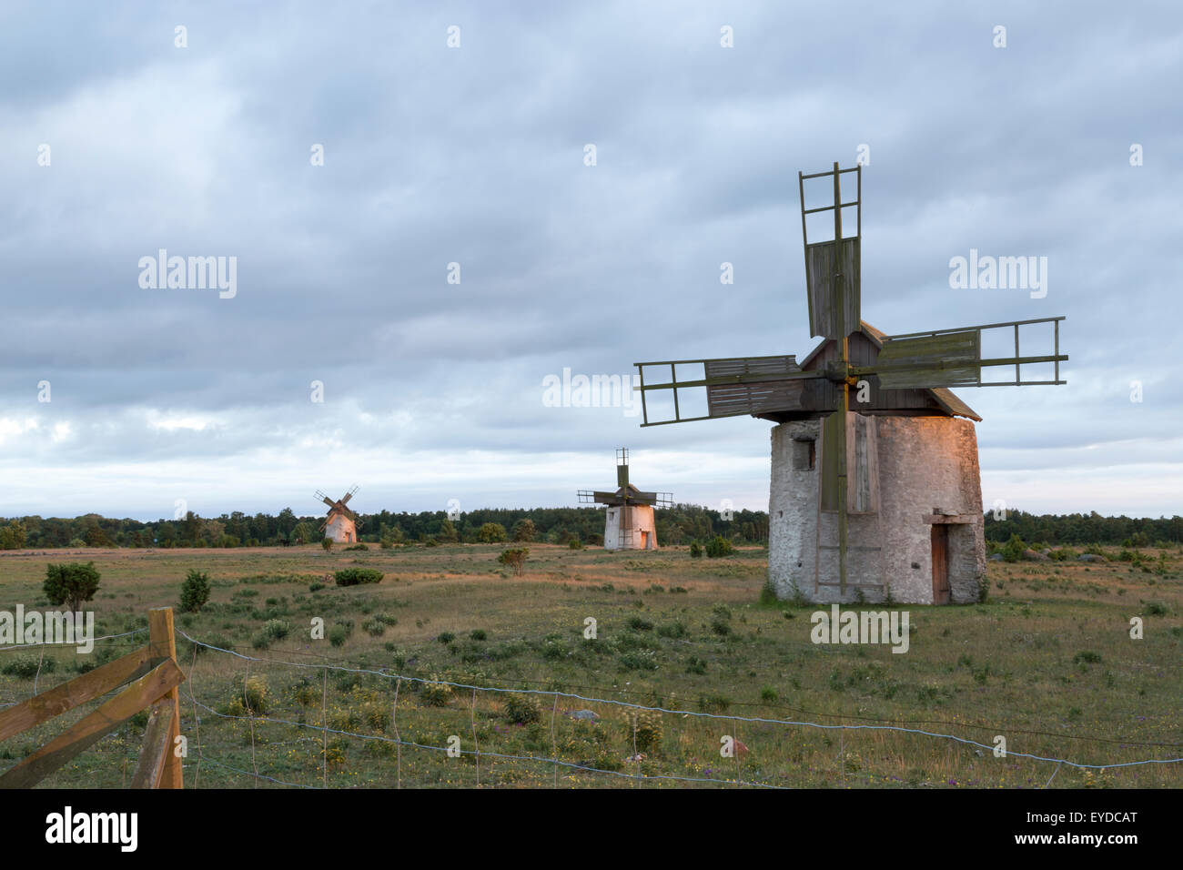 Windmühlen im Feld in Gotland, Schweden mit Wolken hinter ihnen. Stockfoto