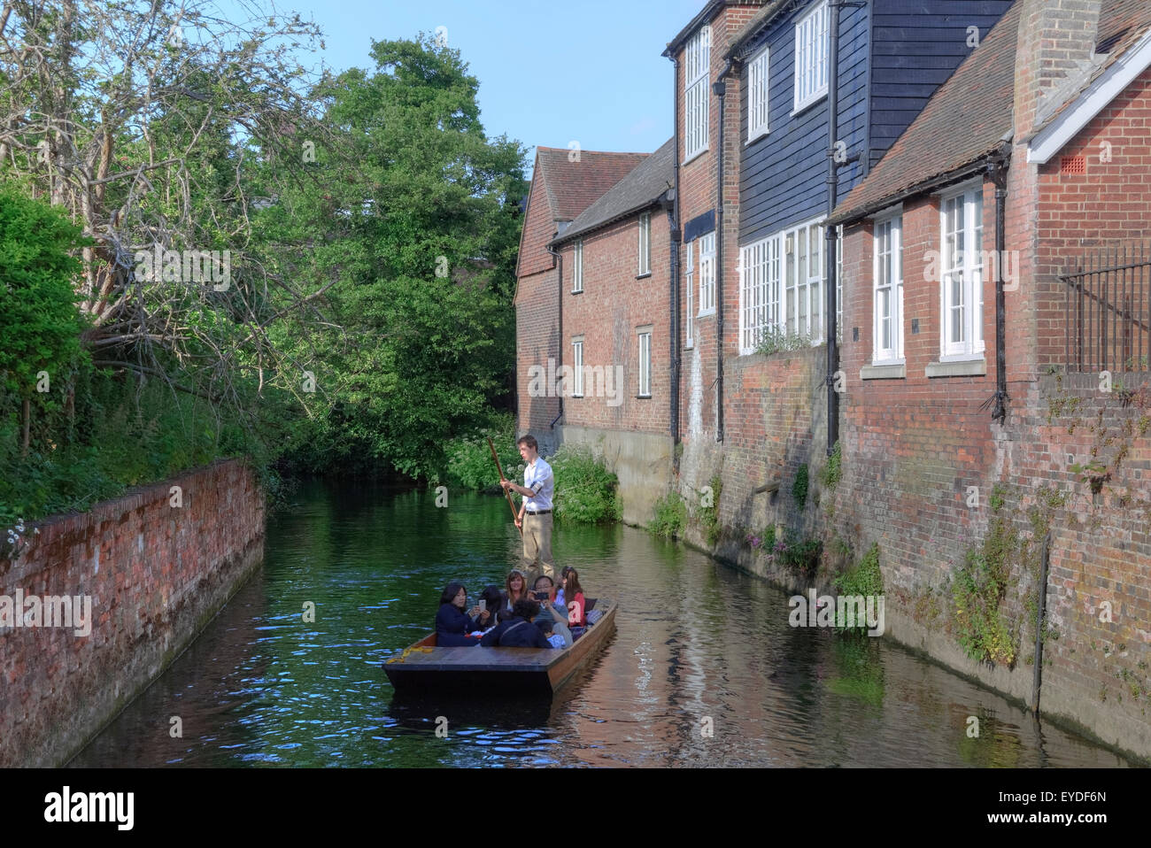 Canterbury, Stour, Kent, England, Vereinigtes Königreich Stockfoto