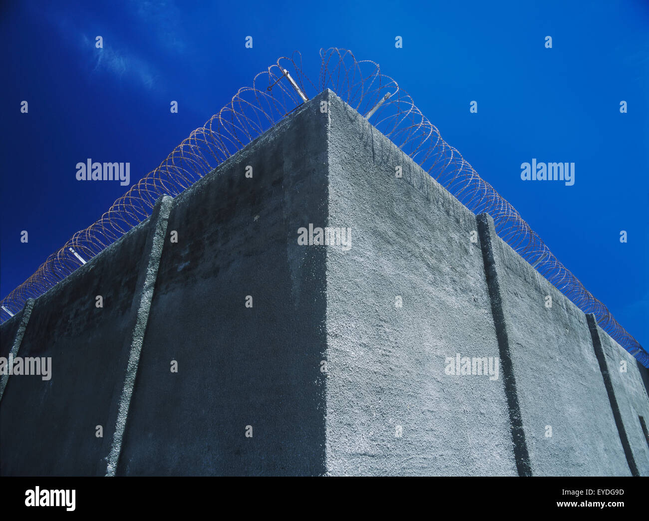 Detail der Hauptwand mit Stacheldraht des Gefängnisses auf Robben Island, Cape Town, Südafrika. Stockfoto