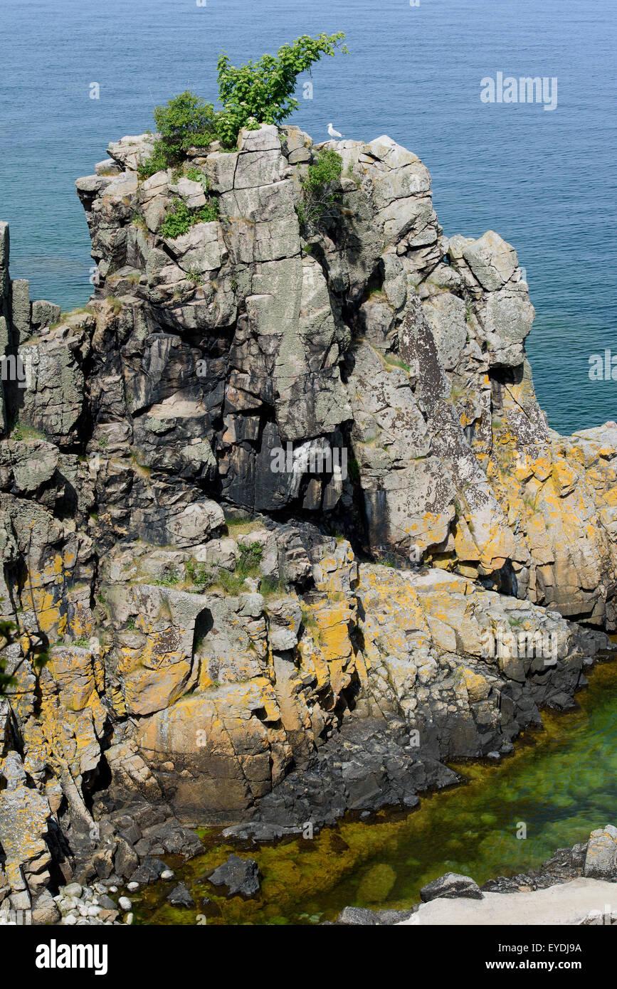 Granit Cliff Helligdomskliperne, Ostküste der Insel Bornholm-Dänemark Stockfoto