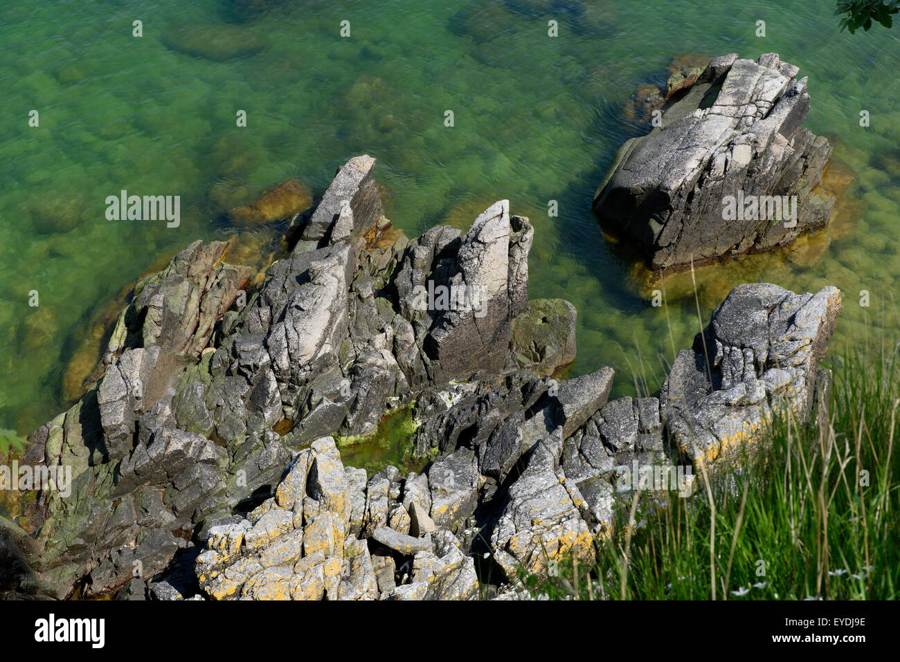 Granit Cliff Helligdomskliperne, Ostküste der Insel Bornholm-Dänemark Stockfoto