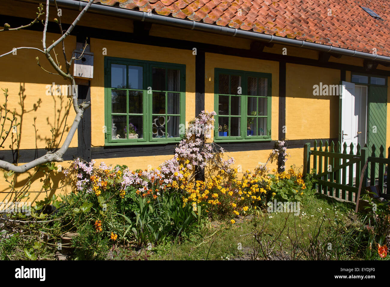 Fachwerkhaus auf Frederiksø, Ertholmene, Insel Bornholm-Dänemark Stockfoto