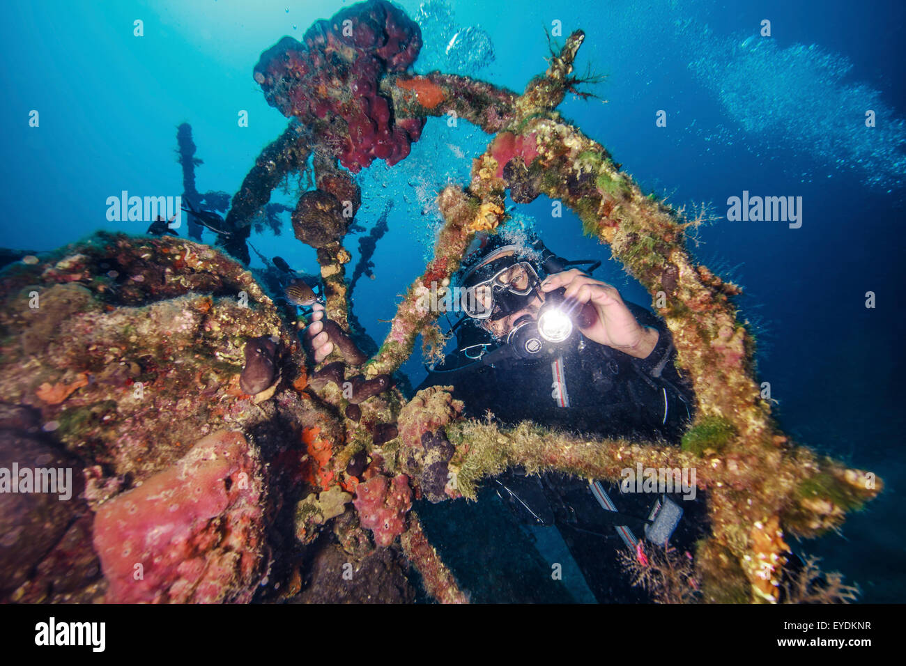 Taucher erkunden Schiffbruch, Adria, Dalmatien, Kroatien Stockfoto