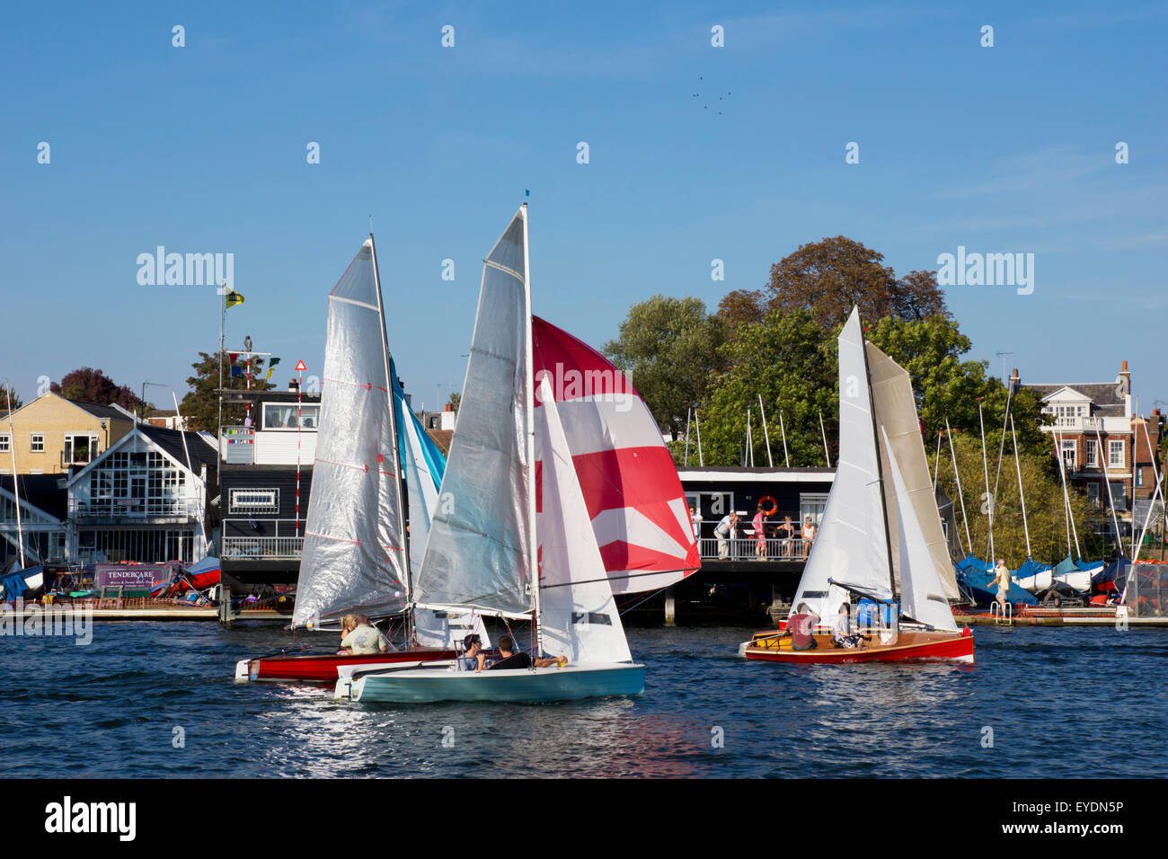 United Kingdom, England, Segeln auf Themse; Middlesex Stockfoto