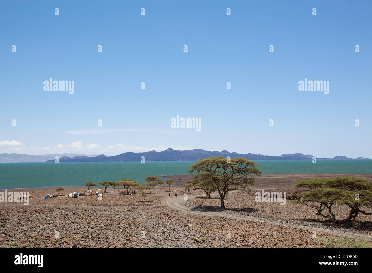 Karge Landschaft um Loyangalani am Turkana-See; Kenia Stockfoto