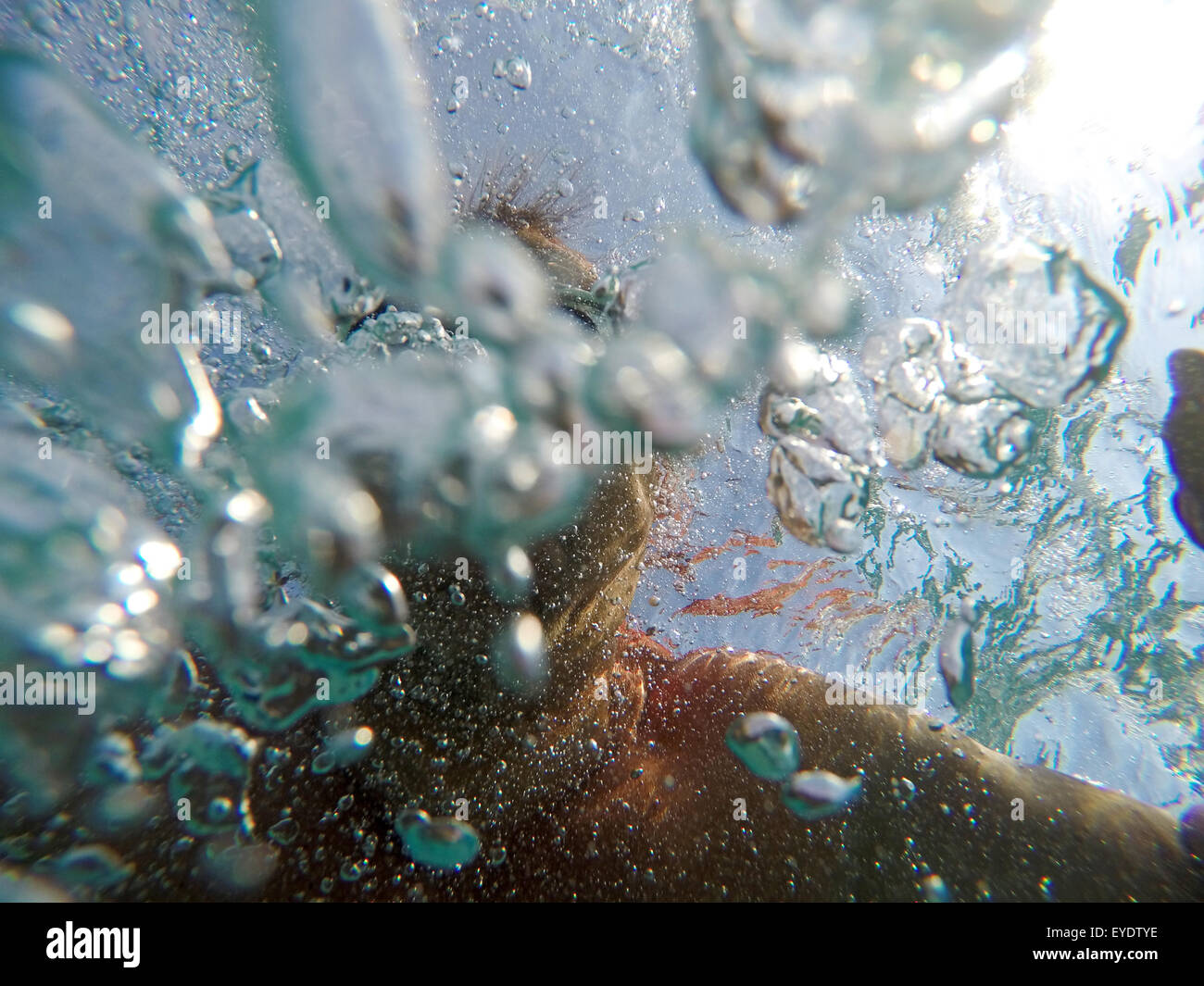 Unter Wasser in einem klaren Meer schwimmen Stockfoto