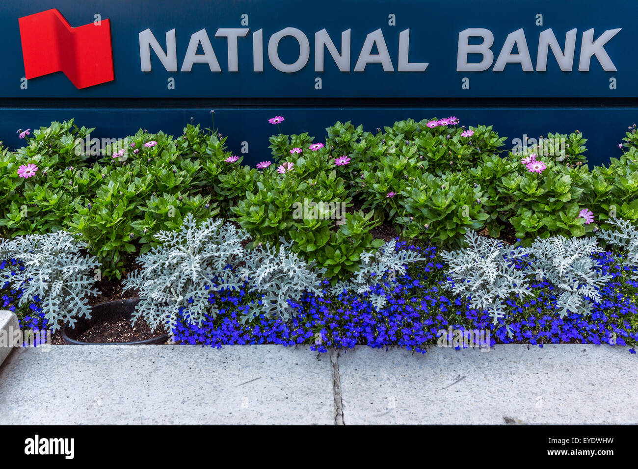 Nationalbank Innenstadt von Vancouver, British Columbia, Kanada Stockfoto