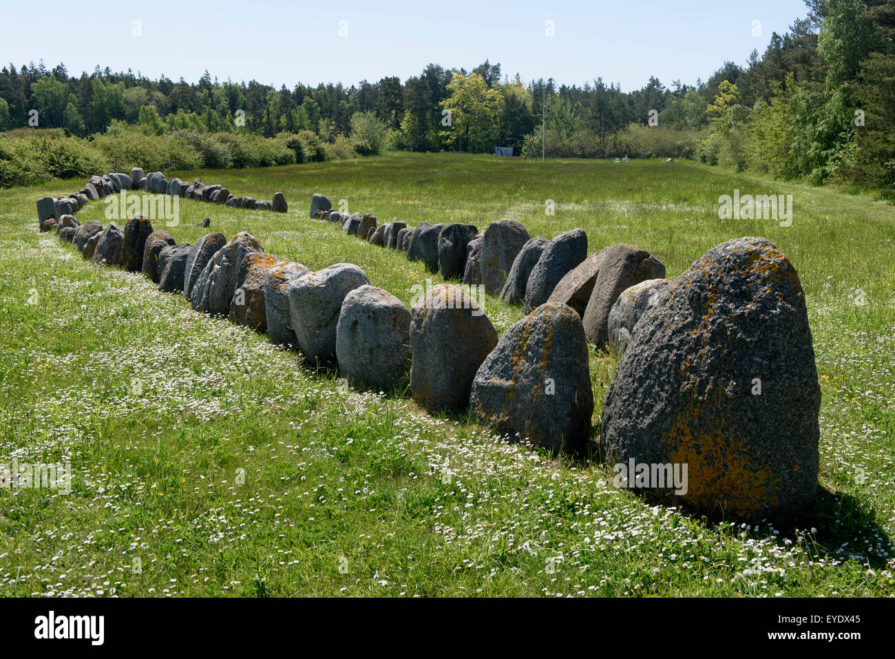 Schiff-Einstellung auf Gnisvärd, Insel Gotland, Schweden Stockfoto
