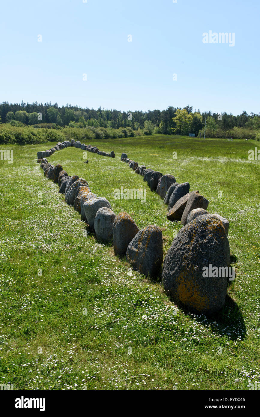 Schiff-Einstellung auf Gnisvärd, Insel Gotland, Schweden Stockfoto