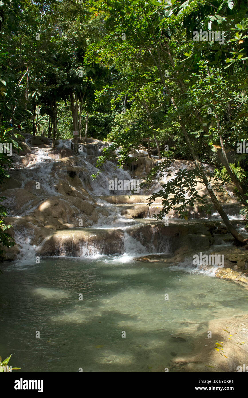 Basis der Dunns River fällt, Ocho Rios, St. Ann, Jamaika Stockfoto