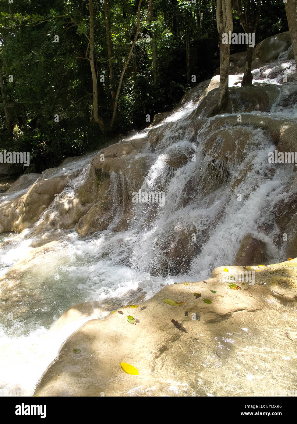 Dunns River Falls, Ocho Rios, St. Ann, Jamaika Stockfotografie Alamy