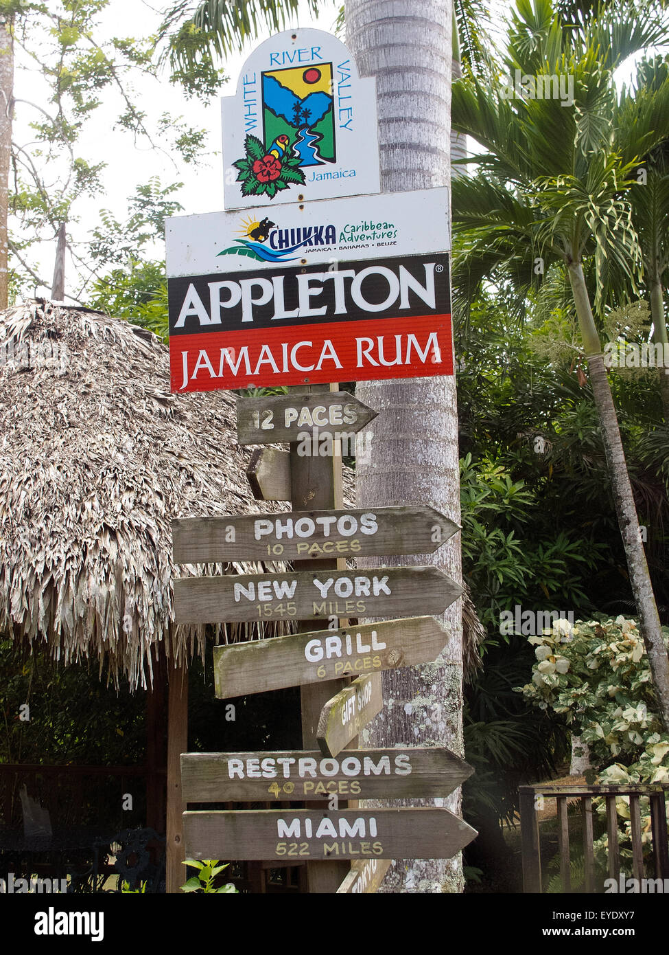 Richtungsanzeiger auf Appleton Jamaica Rum, White River Valley, Ocho Rios, St. Ann, Jamaika Stockfoto