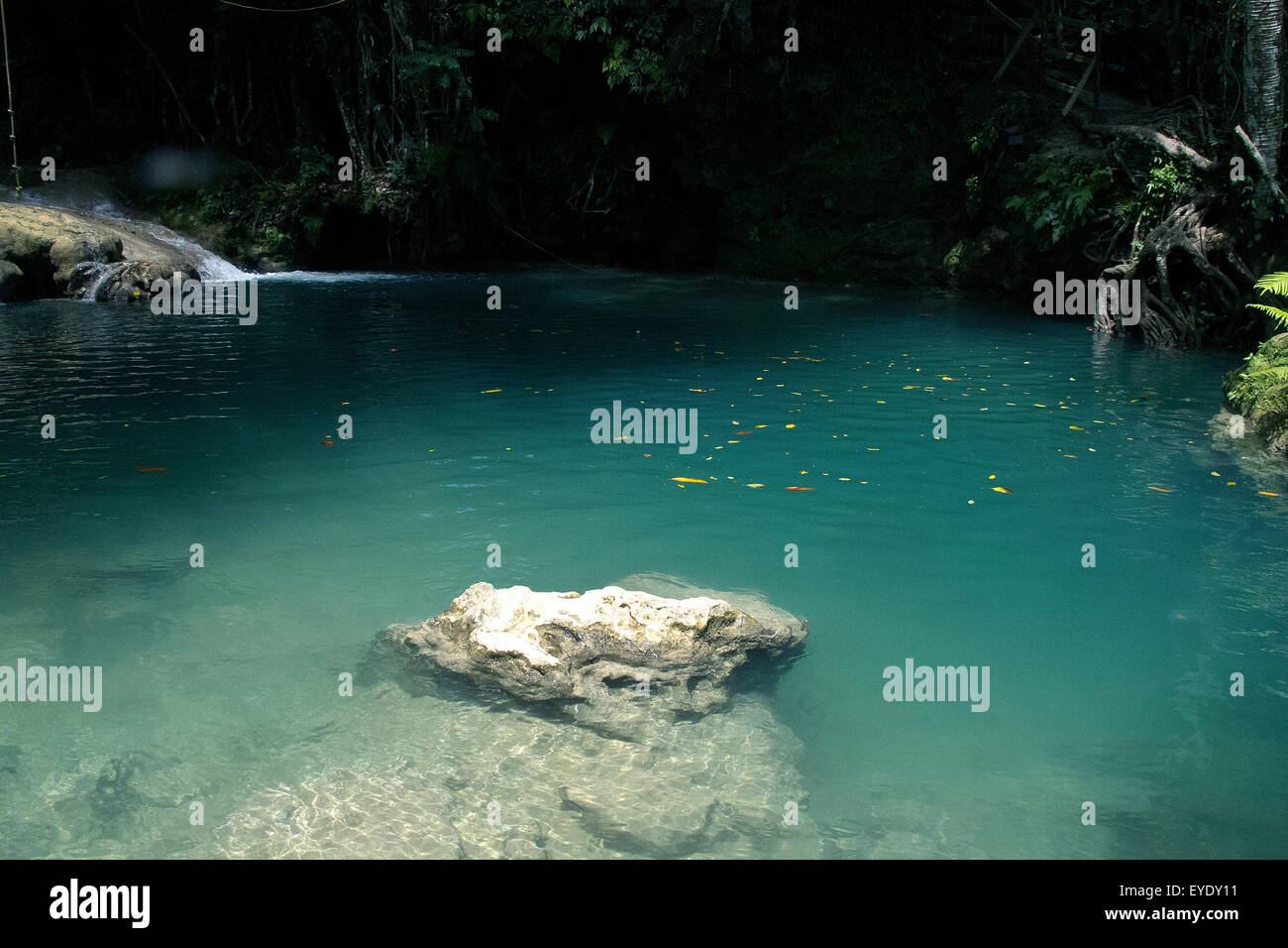 Blue Hole, White River, Ocho Rios, St. Ann, Jamaika Stockfoto