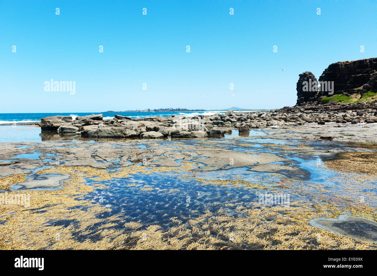 Felsen entlang der Küste unter blauem Himmel Stockfoto