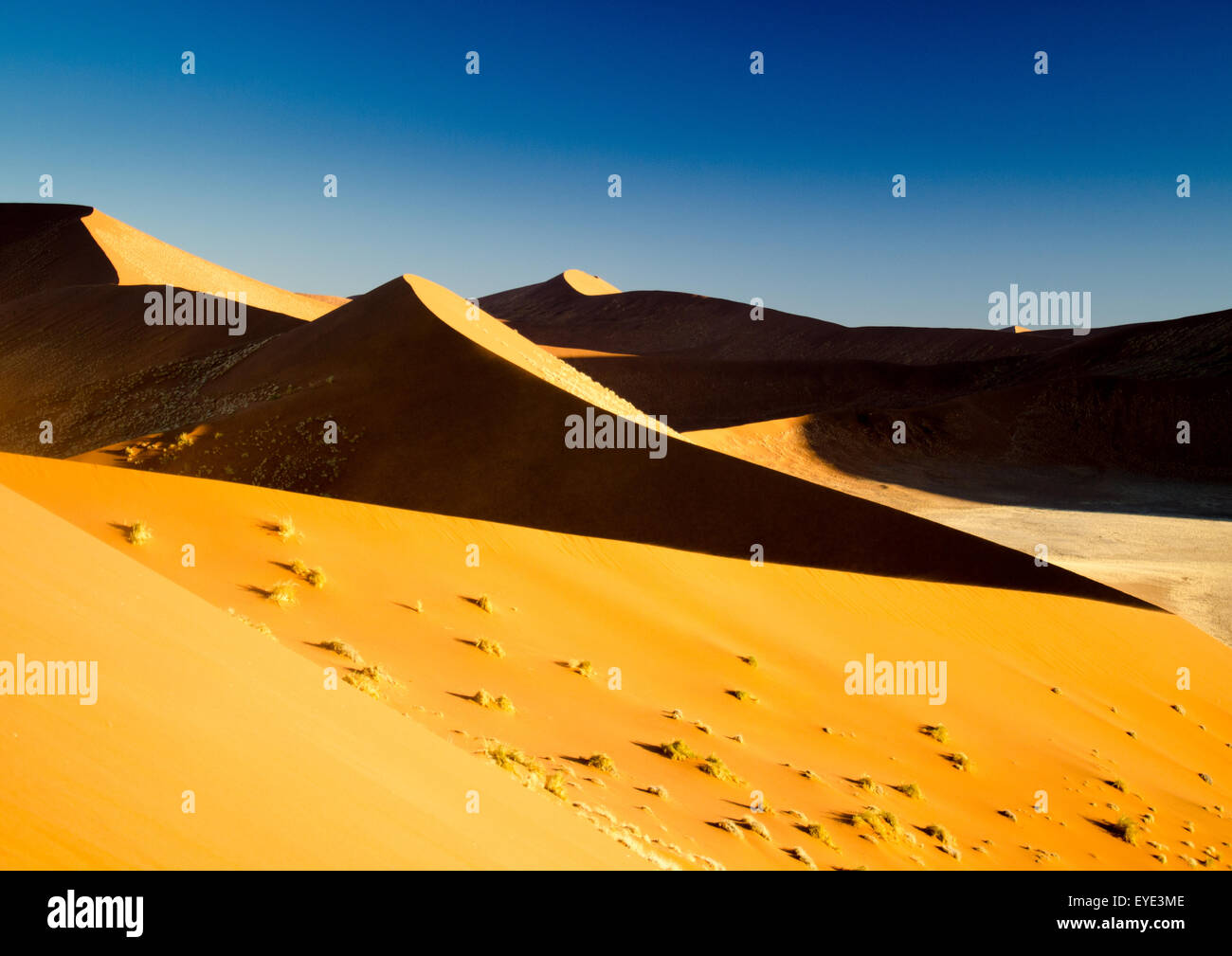 Dramatische Dünen Sossusvlei, Namib-Naukluft Wüste, Namibia Stockfoto