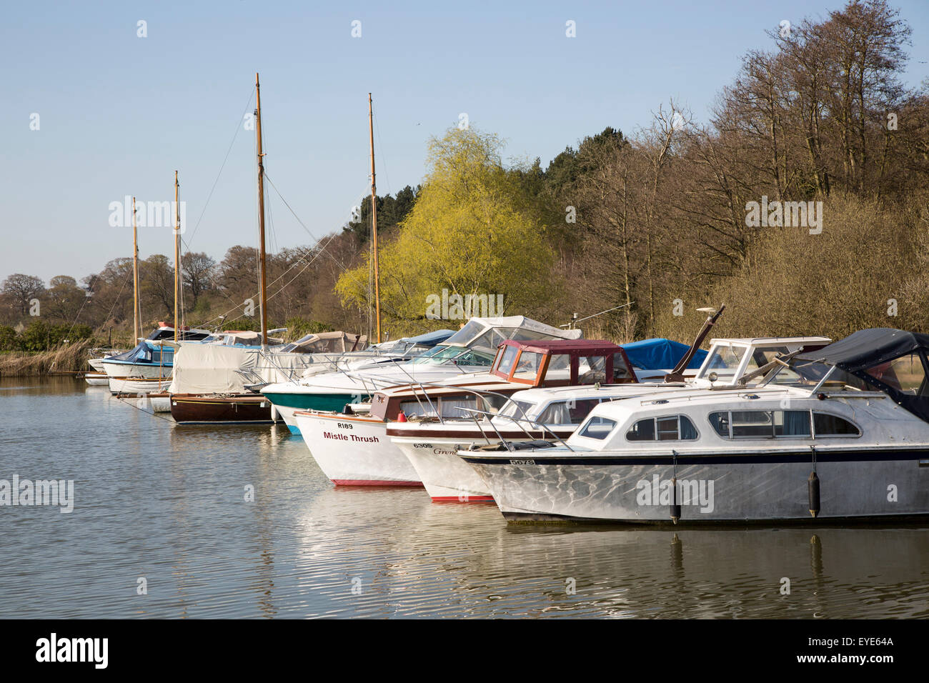 Sportboote auf den Norfolk Broads, Somerleyton Marina, in der Nähe von Lowestoft, Suffolk, England, UK Stockfoto