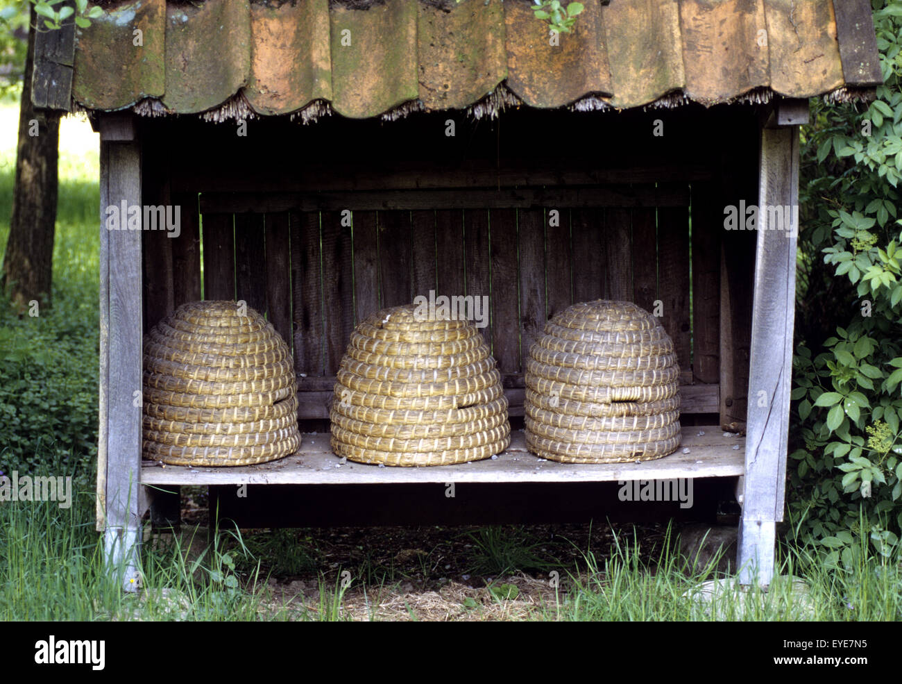 Bienenkoerbe Stockfoto