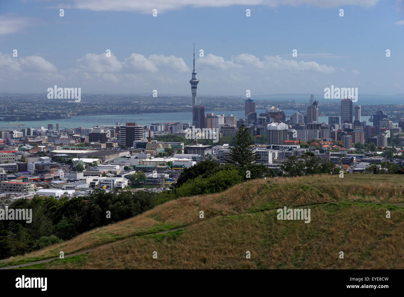 Skyline von Auckland, Neuseeland Stockfoto
