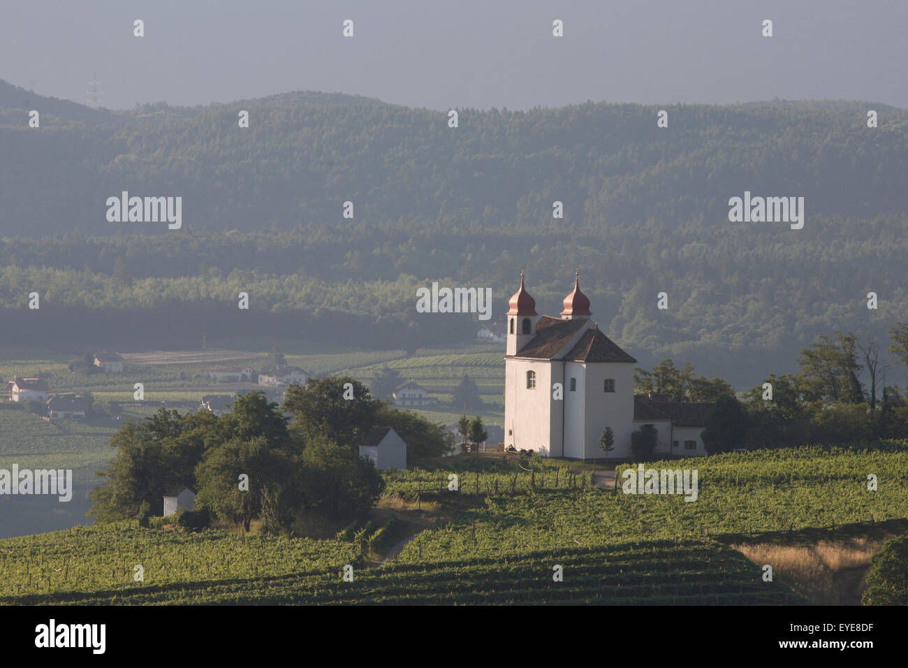 Kapelle auf dem Hügel mit Blick auf Weinbau Tal südwestlich von Bozen, Südtirol, Norditalien. Stockfoto