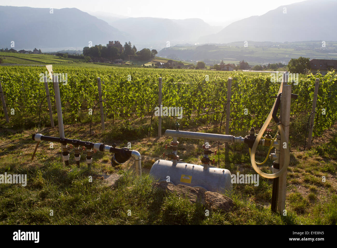 Wasser-Bewässerung-Weinberge in der Weinbau-Region südwestlich von Bozen, Südtirol, Norditalien. Stockfoto