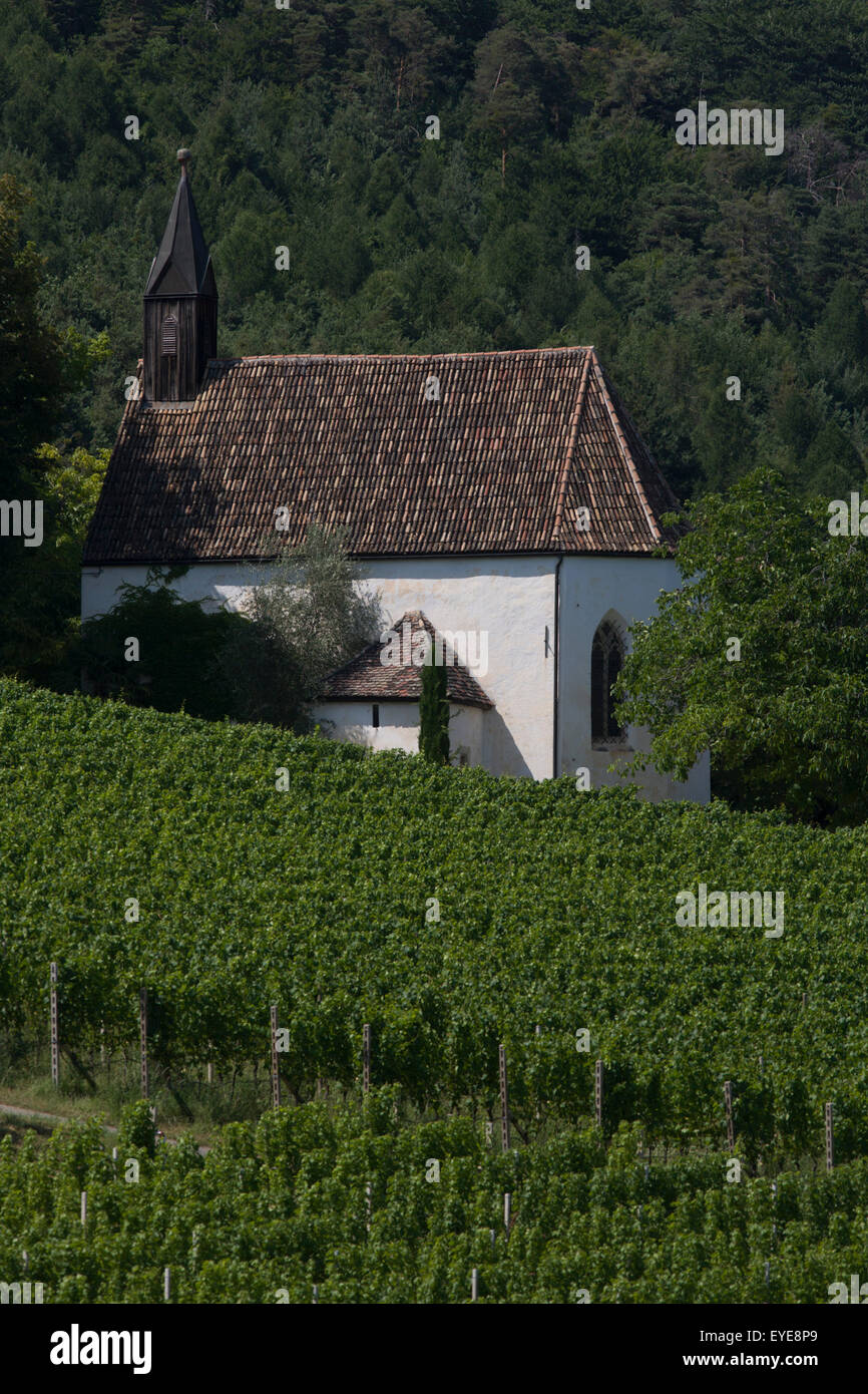 Kapelle auf dem Hügel mit Blick auf Weinbau Weinbergen südwestlich von Bozen, Südtirol, Norditalien. Stockfoto
