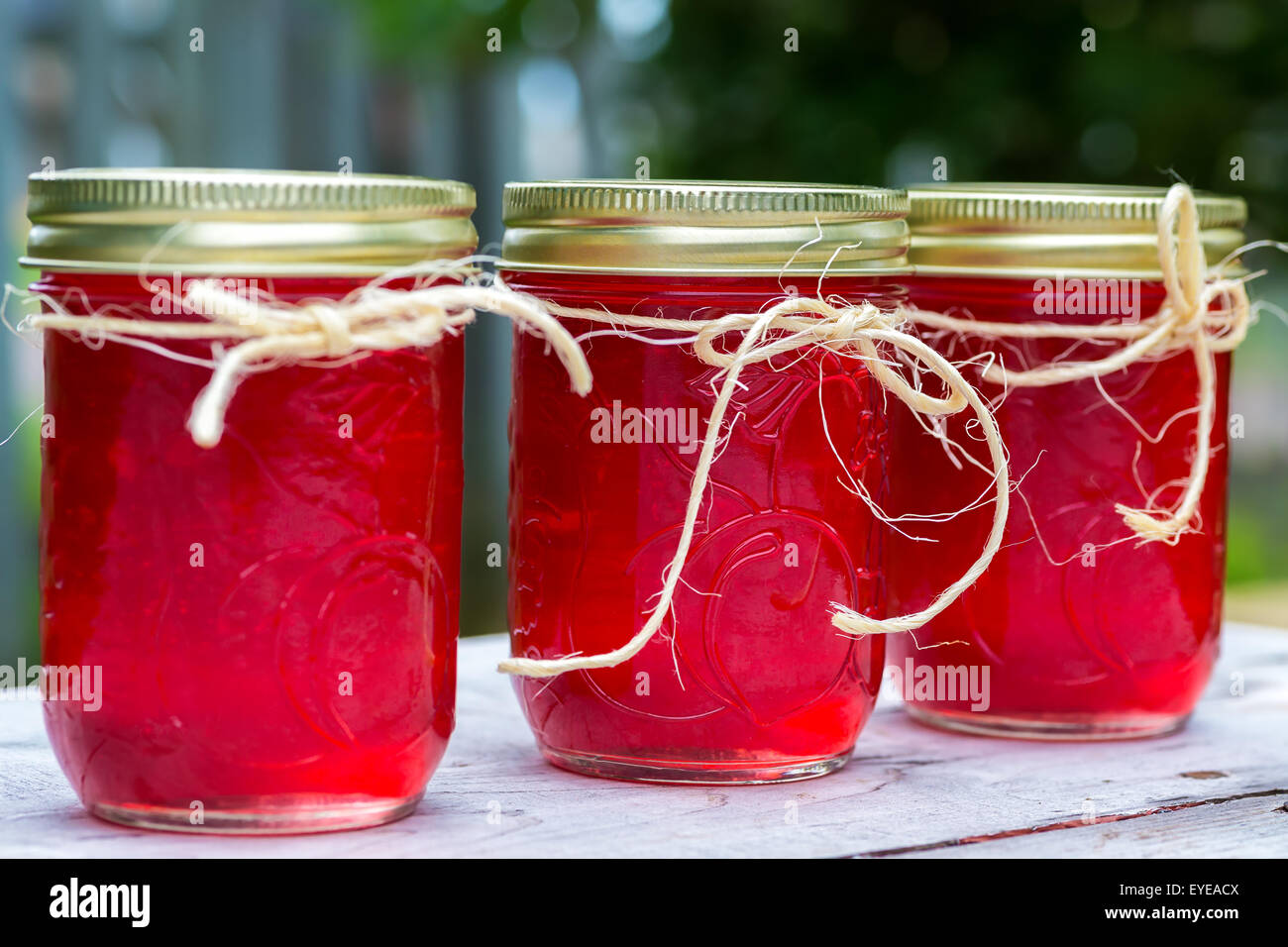 Frisches Obst mit Gläsern von Zierapfel Gelee. Stockfoto