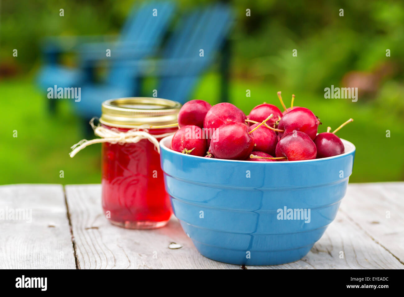 Frisches Obst mit Gläsern von Zierapfel Gelee. Stockfoto