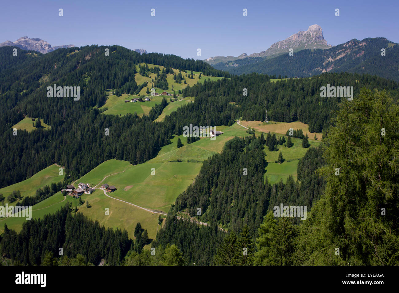 Dolomiten Hügellandschaft in der Nähe von Wengen in Alta Badia, Süd-Tirol, Italien. Stockfoto