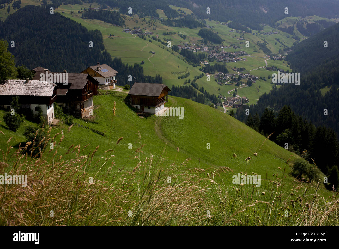 Berghang Scheunen mit Blick auf das Tal bei Picedac in der Nähe von Wengen Wengen in Alta Badia, Süd-Tirol, Italien. Stockfoto