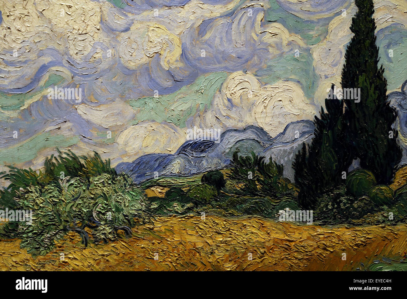 Vincent Van Gogh (1853-1890). Niederländischer Maler. Weizenfeld mit Zypressen, 1889. Öl auf Leinwand. Stockfoto