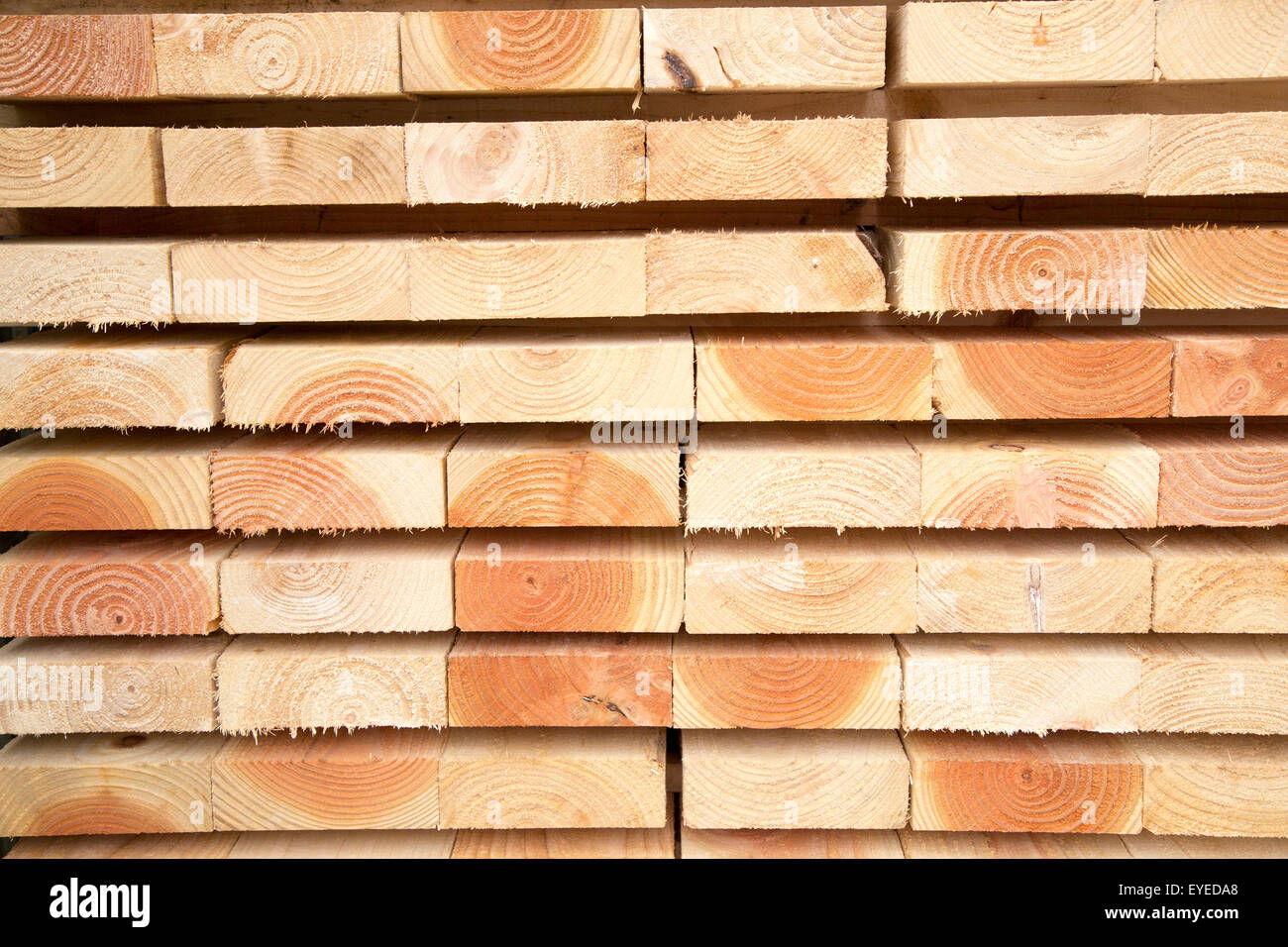 Muster gebildet durch die Enden der hölzernen Holz Längen, Wiltshire, England, UK Stockfoto