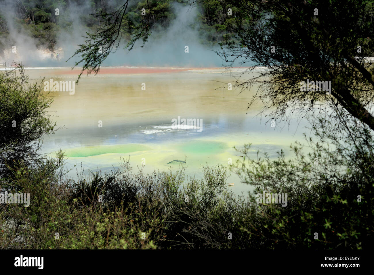 Geothermische See, Wai-O-Tapu, Rotorua, Neuseeland Stockfoto