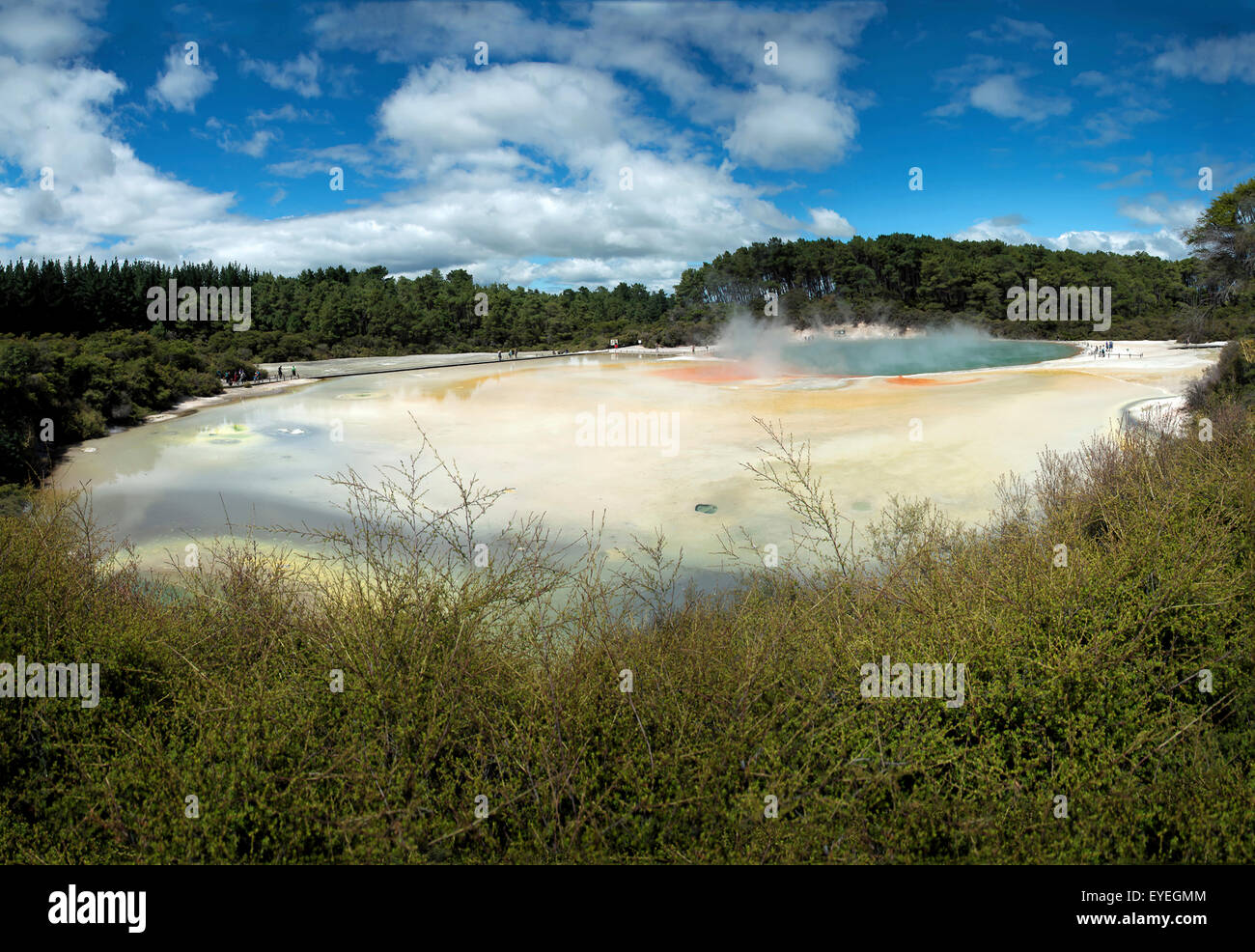 Geothermische See, Wai-O-Tapu, Rotorua, Neuseeland Stockfoto