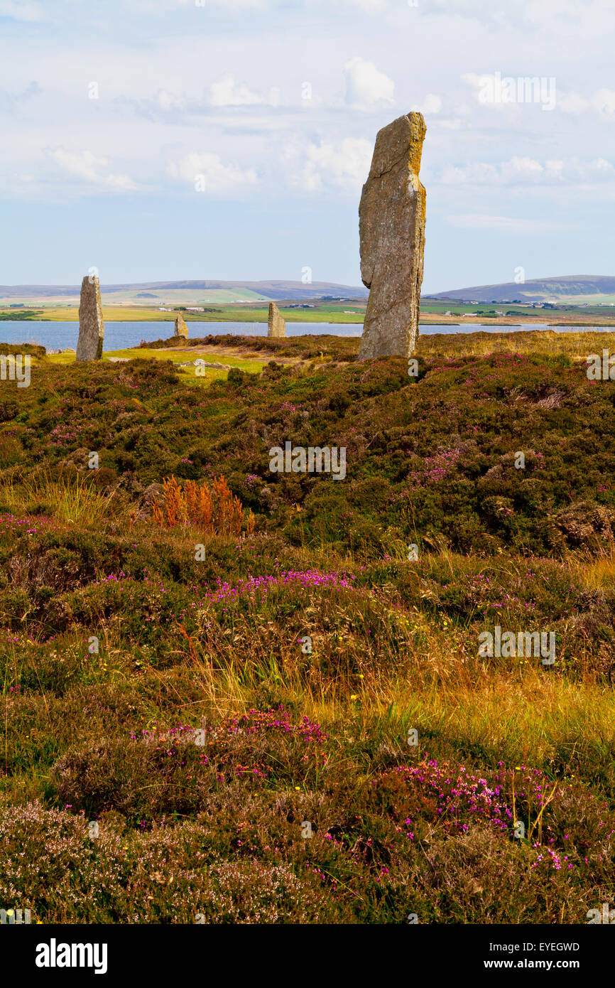 Ring Of Brodgar; Orkney, Schottland Stockfoto
