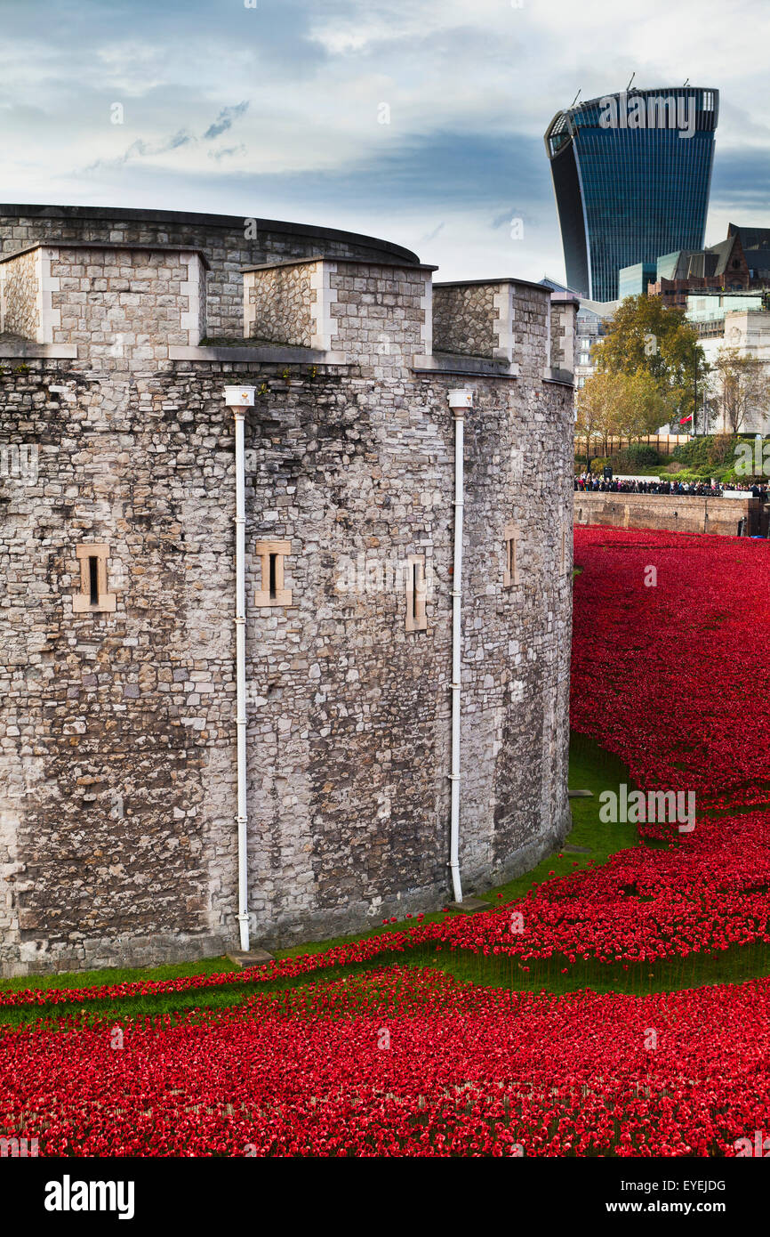 London, Mohn, Blut gefegt, Länder und Meere rot Stockfoto