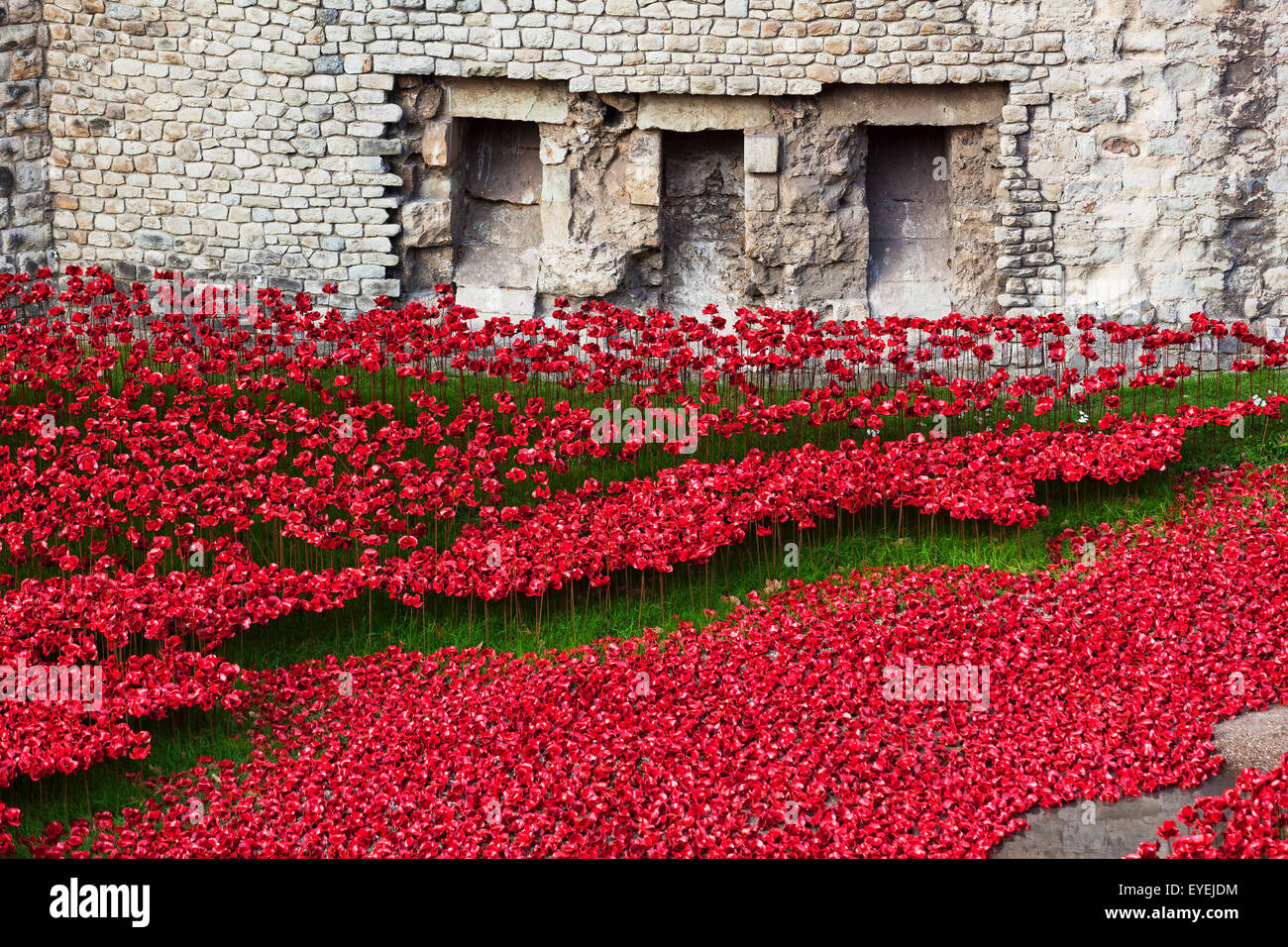 London, Mohn, Blut gefegt, Länder und Meere rot Stockfoto