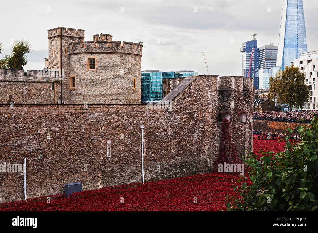 London, Mohn, Blut gefegt, Länder und Meere rot Stockfoto