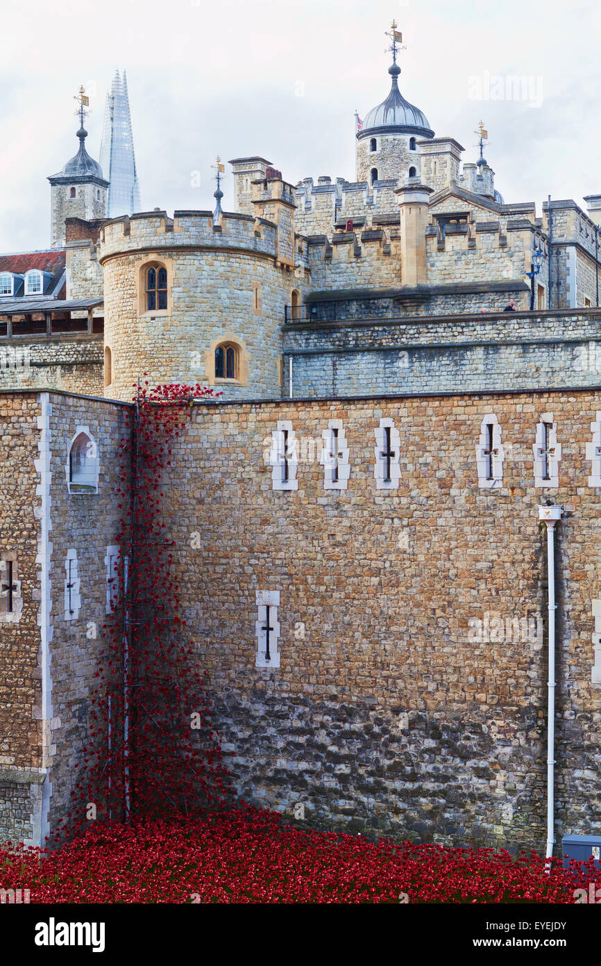 London, Mohn, Blut gefegt, Länder und Meere rot Stockfoto