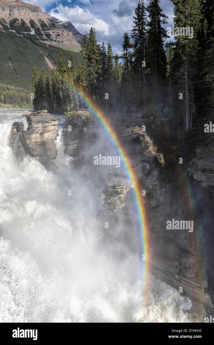 Athabasca Falls, Jasper Nationalpark, Alberta, Kanada Stockfoto