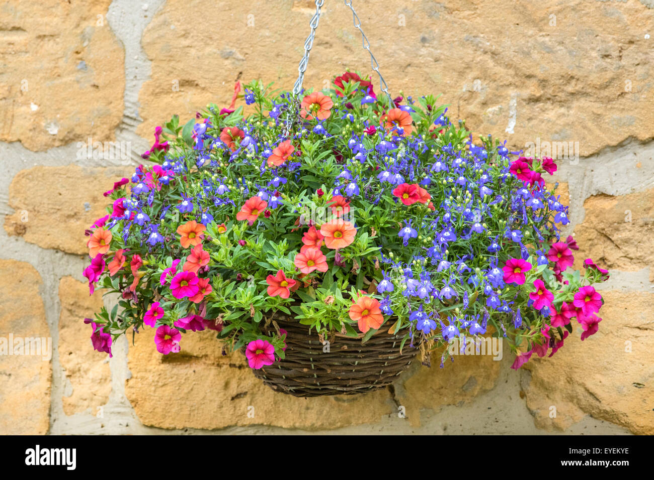 Hängenden Korb Stockfoto