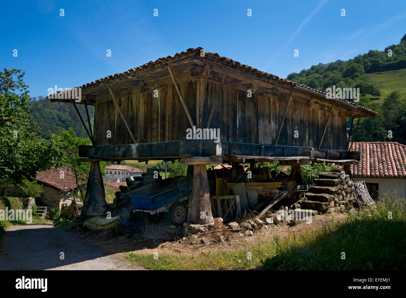 Alten Horreo Getreidespeicher Traditionshaus im ländlichen Dorf von Asturien, Nordspanien Stockfoto