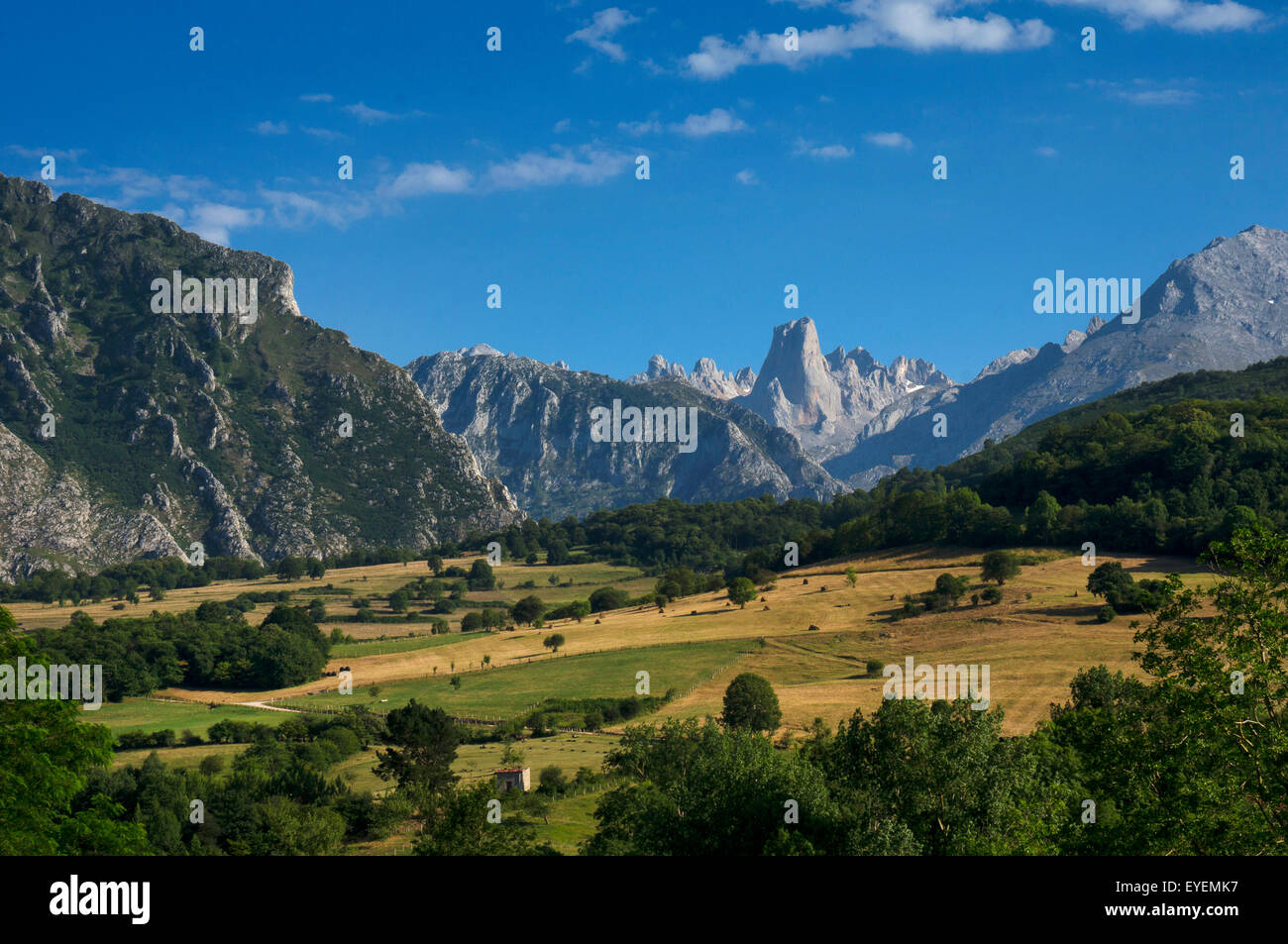 Picos de Europa, Asturien, Nordspanien Stockfoto