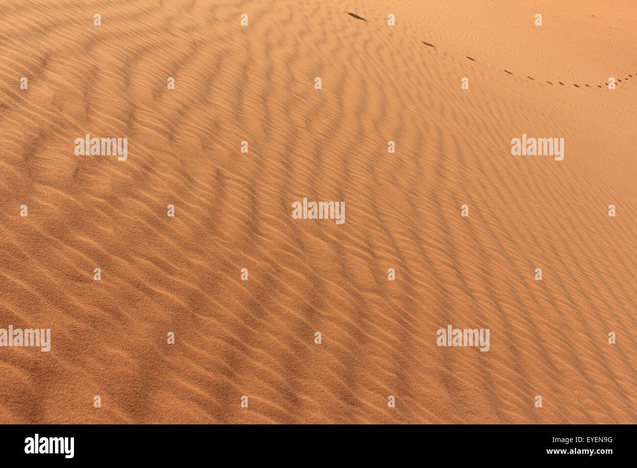 Wüste Sand Textur mit Fußspuren Stockfoto