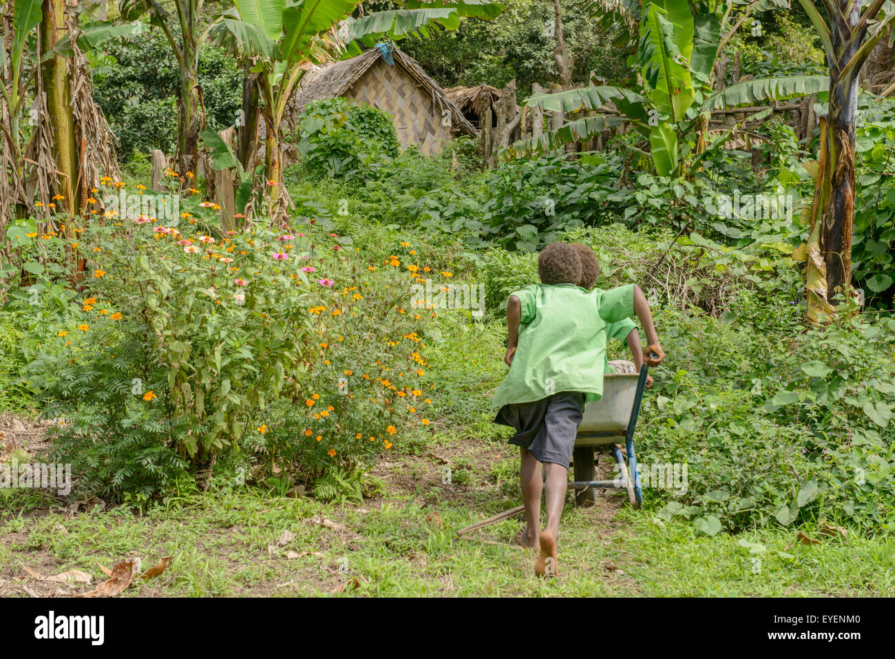 Kinder spielen mit Schubkarre im Schulgarten, Vanuatu Stockfoto