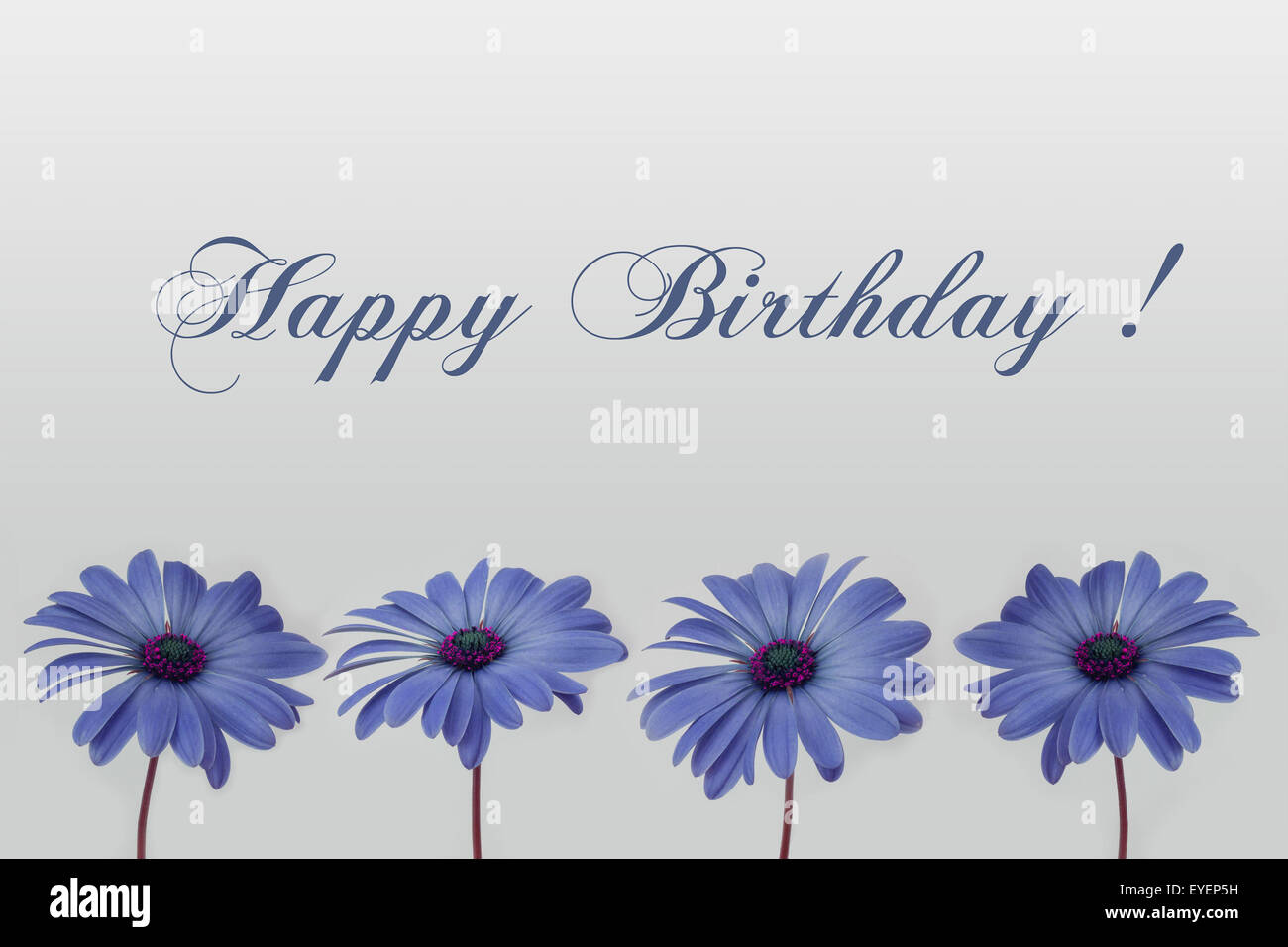 alles Gute zum Geburtstagskarte - Blumendekoration Stockfoto